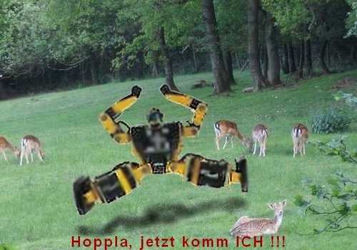 Hoppla