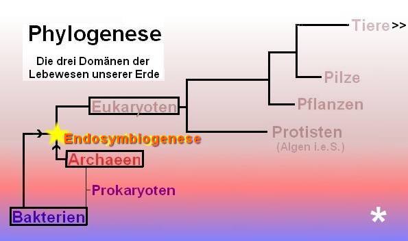 Domänen