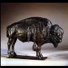 Bison.jpg