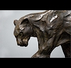 Panther.jpg
